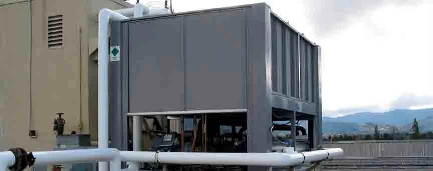 Wild Air in UAE in UAE
